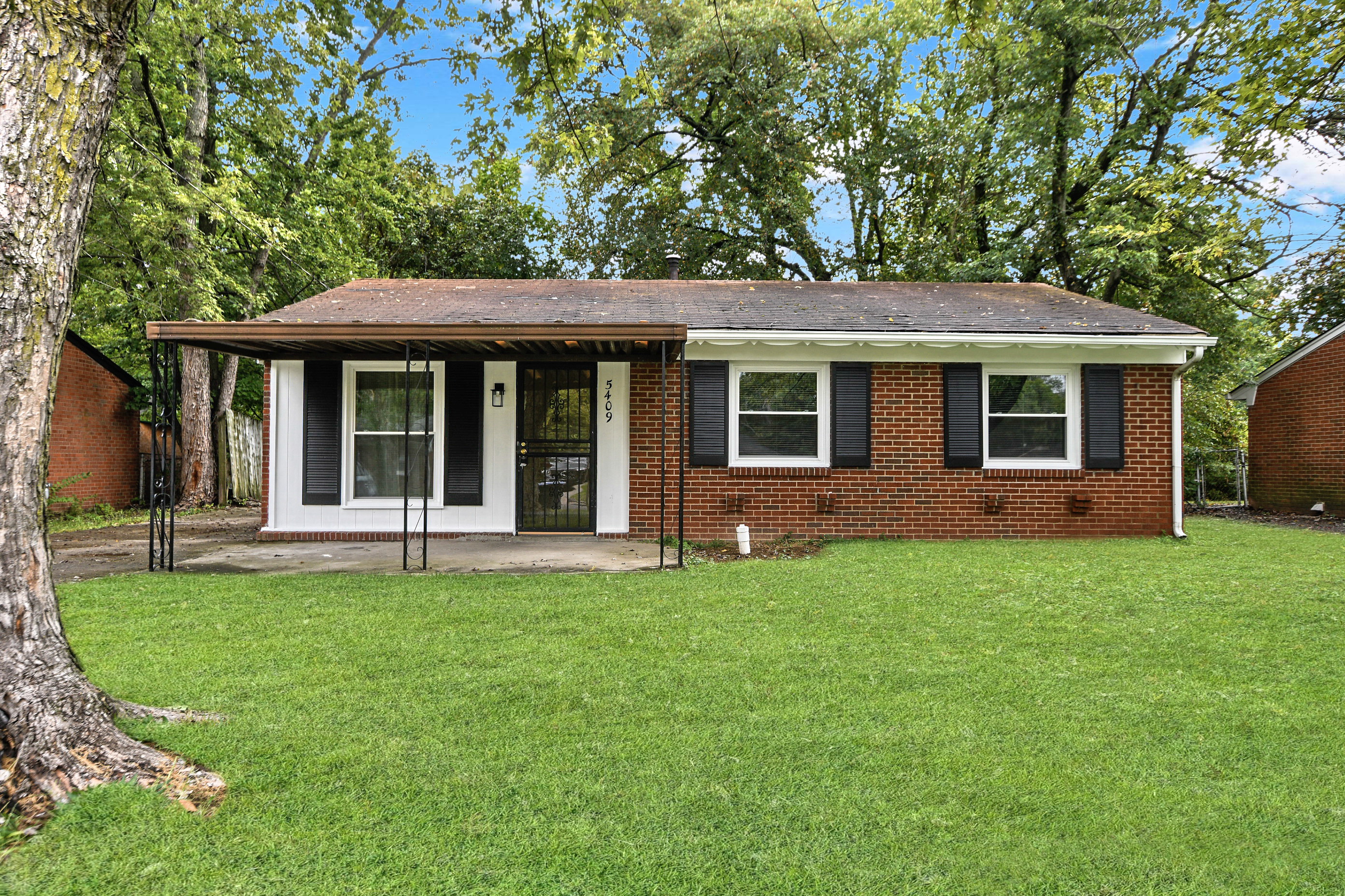 5409 Ailanthus Trail